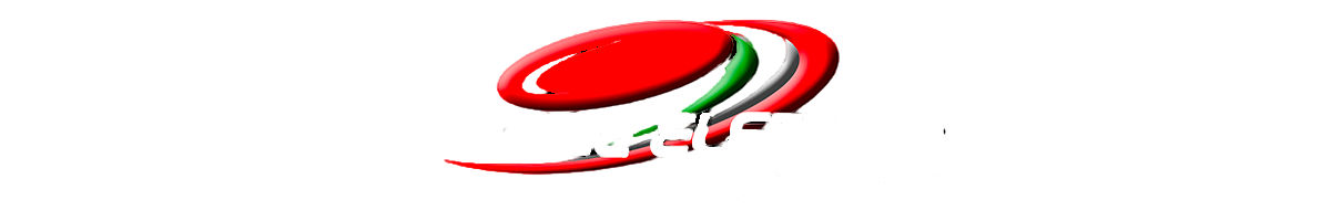 Nazionale Elettronica_logo